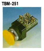 TBM-251