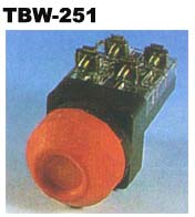 TBW-251